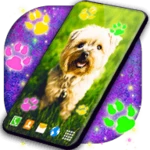 Logo of Cute Puppy Live Wallpaper android Application 