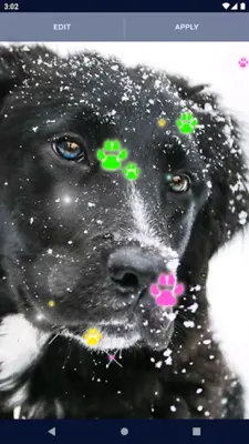 Cute Puppy Live Wallpaper android App screenshot 0